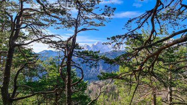 Avusturya 'nın Carinthia kentindeki Sinacher Gupf' a giden Karawanks tepelerinin kar manzaralı manzarası. Wertatscha Dağı, ilkbaharın başlarında sık ormanlardan görülebilir. Güneşli bir günde Rosental. Yürüyüş.