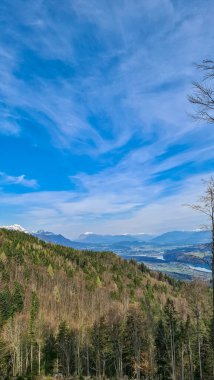Avusturya, Carinthia 'daki Sinacher Gupf' a giden Rosental Vadisi 'ndeki Drava nehrinin manzarası. İlkbaharın başında orman. Hohe Tauern dağ sırası arka tarafta görülebilir. Güneşli bir gün. Koşun!