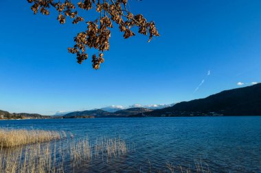 Avusturya, Carinthia 'daki Poertschach' tan Maria Worth ve Woerthersee 'ye bakın. Sakin göl manzarayı yansıtıyor. Koschutnikturm ve Hochobir 'e bakın. Su kenarında kilise olan bir köy. Reed.