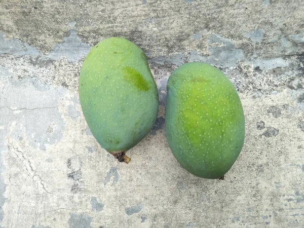 Mangofrüchte Die Vom Baum Fielen Aber Nicht Richtig Und Reif — Stockfoto