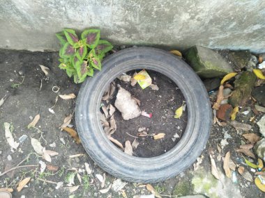 Uzun zamandır kullanılmayan araba lastikleri donuk bir renge dönüşene ve toprağa karışana kadar. Lastikler yaprak çöpleri ve etraftaki çerez ambalajları ve yabani otlarla da birleşir..