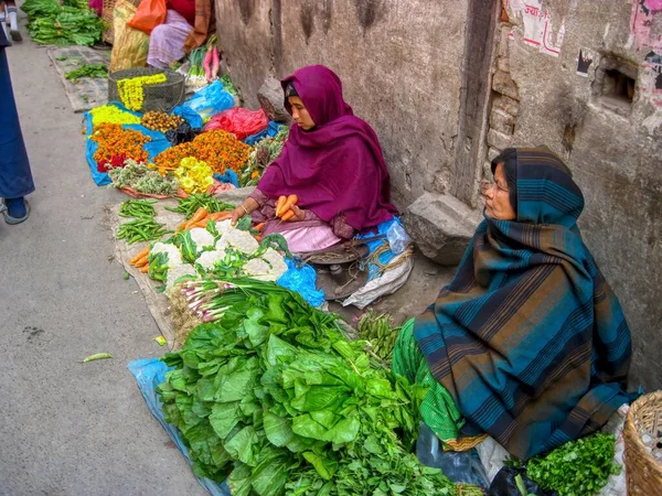 Katmandu Nepal Lutego 2010 Kobiety Zarabiają Życie Sprzedając Świeże Warzywa Zdjęcia Stockowe bez tantiem
