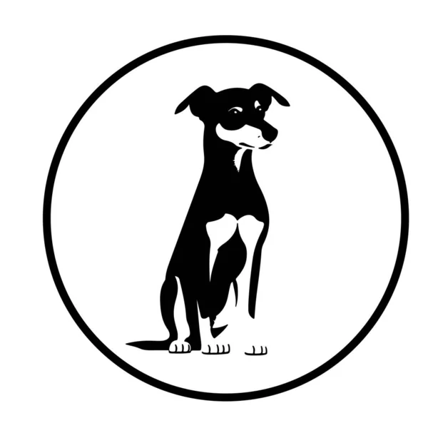 Logotipo Para Perros Veronika — Vector de stock