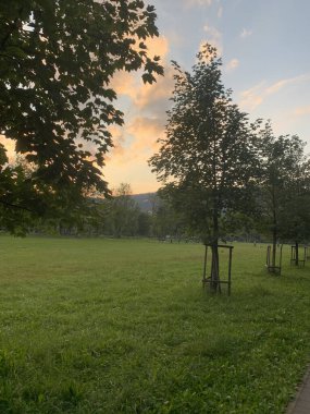 Güzel manzara manzarası. Seyahat günlüğü için yaz doğası