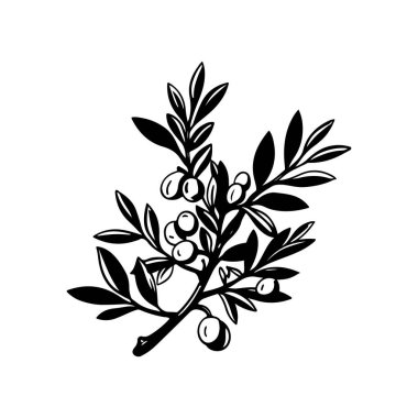 Tasarımınız için zeytin dalı çizgisi sanat klasiği çizimi