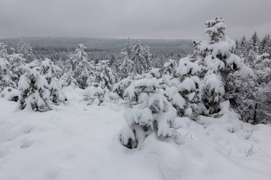 Çek Brdy parkında kışın manzarası