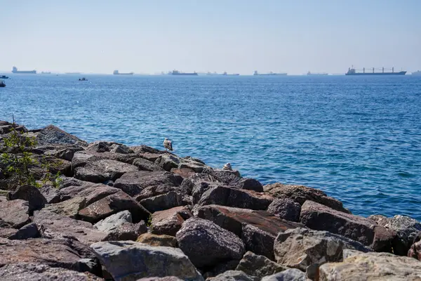 Açık Bir Gün 'de Rocky Shoreline ile Martılar ve Uzak Gemiler