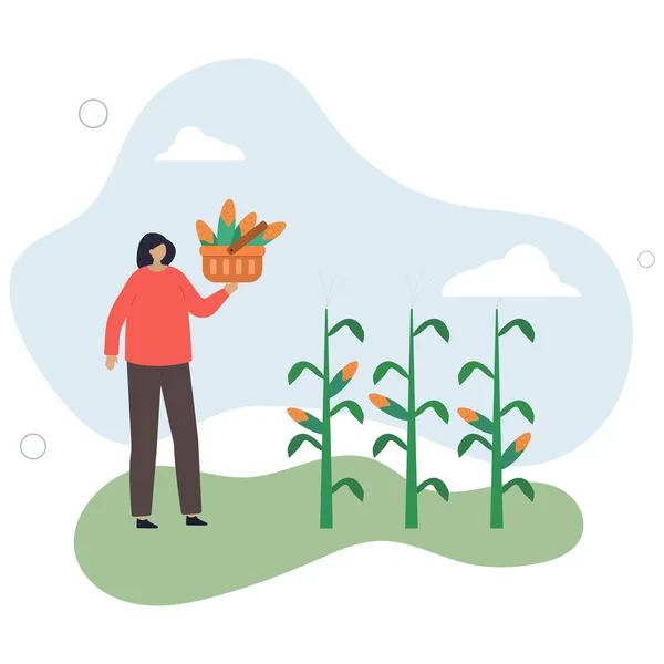Emberek Kertészkednek Rajzfilm Karakter Dolgozik Gazda Eszközök Harvesting Corn Lapos — Stock Vector