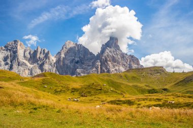 San Martino di Castrozza 'daki Dağ Panoraması, Trentino Alto Adige, İtalya