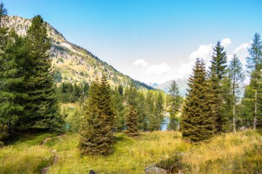 San Martino di Castrozza, Trentino Alto Adige yakınlarındaki Paneveggio doğal parkına bakın.