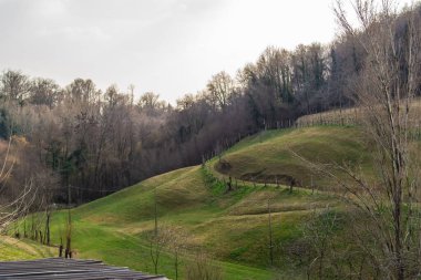 San Zenone degli Ezzelini tepelerinin manzarası, Treviso - İtalya