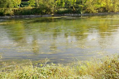 Borghetto, Veneto, İtalya 'daki Mincio nehrinin manzarası