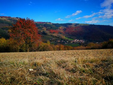 Asiago platosundaki kış manzarası, Vicenza - İtalya