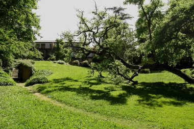 İtalya 'nın Padua kentindeki Treves parkının büyük bir ağaç manzarası
