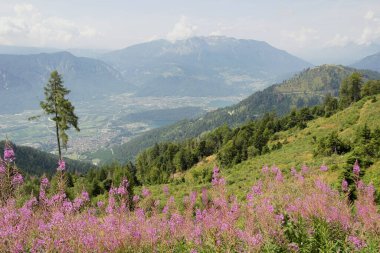 Vetriolo Dağı 'ndan Panorama, Levico Terme, Trentino Alto Adige, İtalya