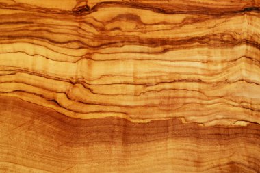 Kaburgalı zeytin ağacı arka planı