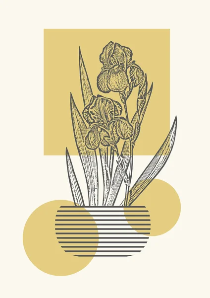 Poster Seni Kontemporer Dengan Iris Gambar Vas Seni Dinding Yang - Stok Vektor