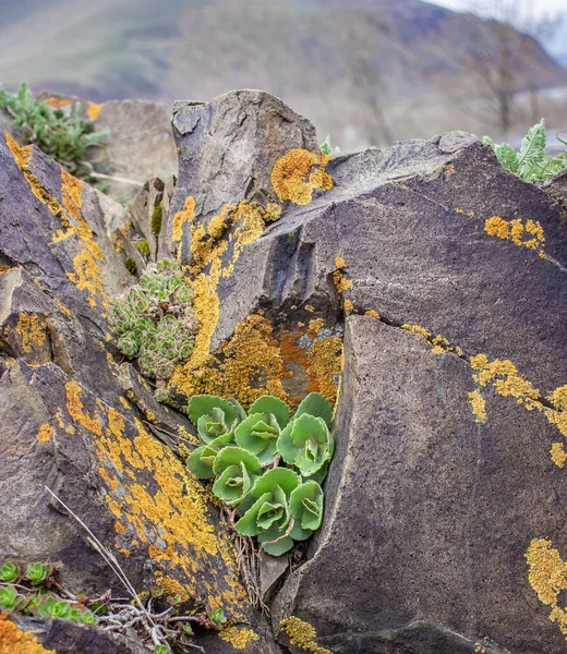 Kayaların Konsept Fotoğrafında Sulandırıcıyı Kapat Dağlarda Kayalarla Çevrili Bir Açık — Stok fotoğraf