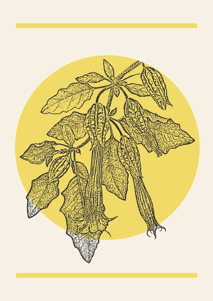 Kampüs Çiçek Açan Şube Çizimi Illüstrasyon Posteri Şleme Tarzında Botanik — Stok Vektör