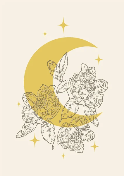 Månskära Med Pion Blommor Och Stjärnor Illustration Affisch Blommig Magi — Stock vektor