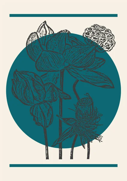 Flor Lótus Buquê Flores Ilustração Botânica Cartaz Estilo Gravura Cartão —  Vetores de Stock