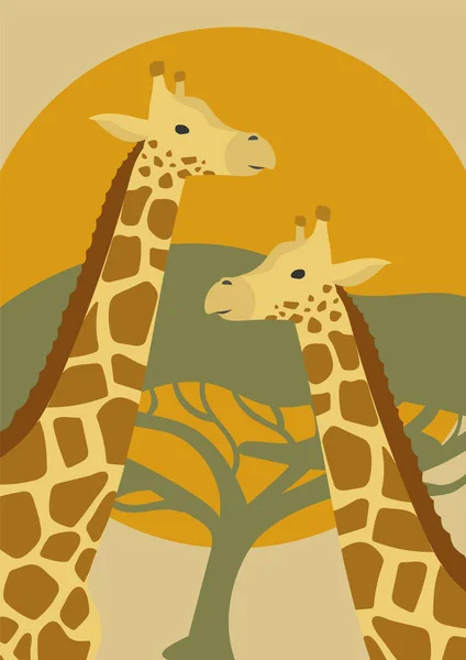 Cartel Ilustrativo Animales Safari Sabana Africana África Jirafas Vector Cartel — Archivo Imágenes Vectoriales