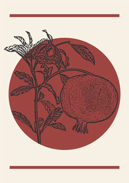 Pomegranate Branch Sketch Illustration Red Poster Botanical Art Engraving Style — Stock Vector
