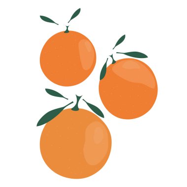 Mandalina organik meyve basit bir illüstrasyon. Basit bir meyve vektörü etiketi. Moda meyveli moda sanat tasarımı. Çizgi film tarzı. Herhangi bir tasarım için vektör illüstrasyonu.