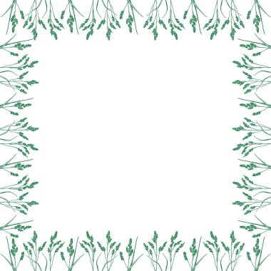 Tek renkli elementlerle süslü bir çerçeve. Son moda botanik grafik şablonu. Çimen boş çerçeve kutusu. El çizimi vektör çizimi beyaz arkaplanda izole edildi