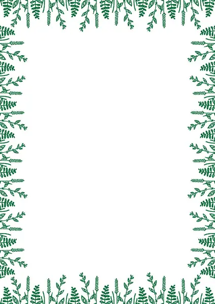 Yaz çayır çerçevesi. Son moda botanik grafik şablonu. Çimen boş çerçeve kutusu. El çizimi vektör çizimi beyaz arkaplanda izole edildi