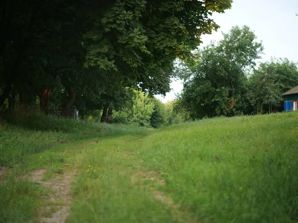 村の道は草で覆われている ストック写真