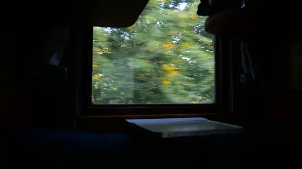 가을에 기차를 — 스톡 사진