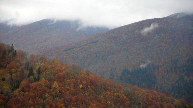 Karpat dağlarında sonbahar