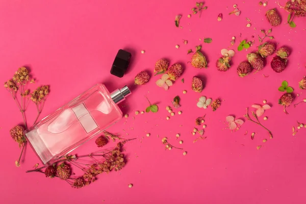 Parfüm şişesi pembe arka planda çiçek kokusu yayıyor. Çiçek kokulu kozmetik güzellik ürünü. Parfüm şişeli çiçek kompozisyonu.