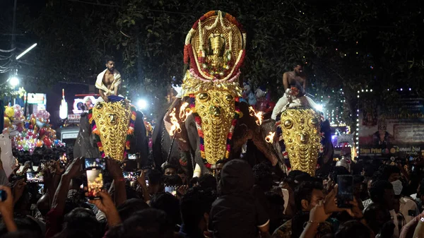 Imagen Thiruvabharanam Del Templo Mukhathala Sree Krishna Sobre Elefantes Thiruvabharanam —  Fotos de Stock