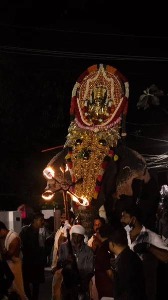 Imagem Thiruvabharanam Mukhathala Sree Krishna Templo Cima Elefantes Thiruvabharanam Ornamentos — Fotografia de Stock