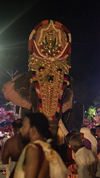Imagen Thiruvabharanam Del Templo Mukhathala Sree Krishna Sobre Elefantes Thiruvabharanam —  Fotos de Stock