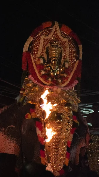 Photo Thiruvabharanam Temple Mukhathala Sree Krishna Dessus Des Éléphants Thiruvabharanam — Photo