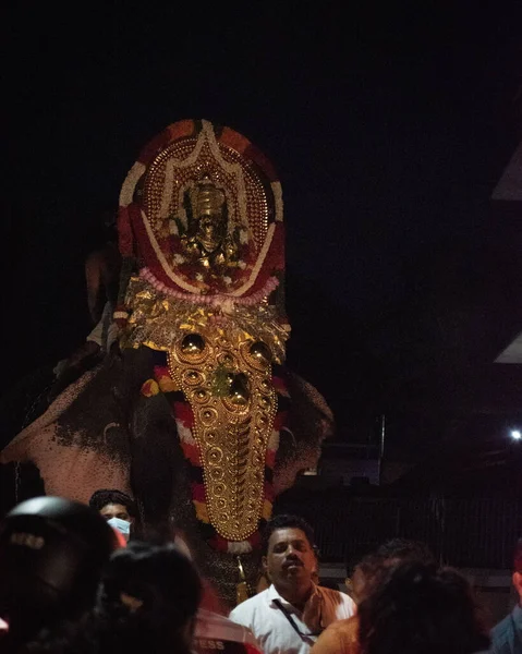Immagine Thiruvabharanam Del Tempio Mukhathala Sree Krishna Cima Agli Elefanti — Foto Stock