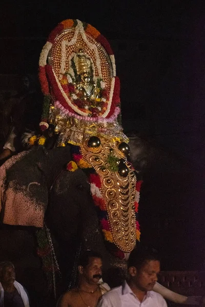 코끼리의 상단에 Krishna 사원의 Thiruvabharanam의 Thiruvabharanam는 사원의 신성한 장식품에 — 스톡 사진