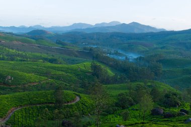 Fotoğraf şafak vakti Hindistan 'ın Kerala kentindeki en güzel ve romantik turistik yerlerden biri olan Munnar' da çay çiftliklerinin ve sıradağların sisle kaplandığı yerde çekildi..