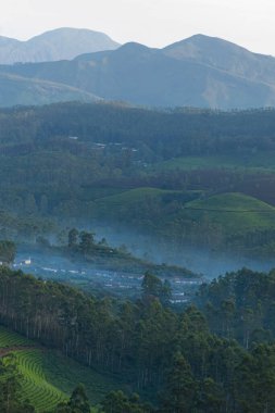 Hindistan 'ın Kerala kentindeki en güzel ve romantik turistik yerlerden biri olan Munnar' da dağ sıraları sisle kaplıdır. 08-22-2023 'e tıklandı