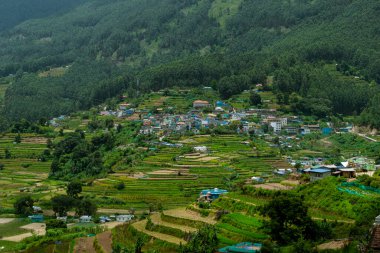 Munnar, Idukki Bölgesi, Kerala, Hindistan 'da Vattavada' da Güzel Tarım Tarlası Manzarası