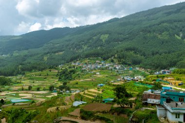 Munnar, Idukki Bölgesi, Kerala, Hindistan 'da Vattavada' da Güzel Tarım Tarlası Manzarası