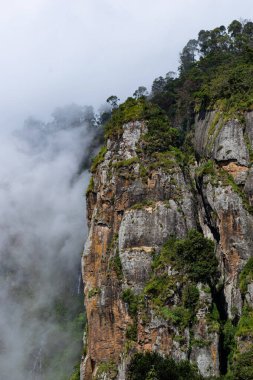 Hindistan, TamilNadu 'daki Kodaikanal' da sisle kaplı Piller Rock 'ın bir resmi.