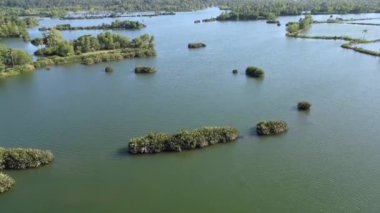 Kerala ve mangrovların durgun sularının insansız hava aracı görüntüsü.