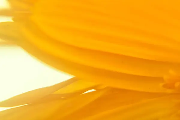 Tło Niewyraźne Kolory Żółty Pomarańczowy — Zdjęcie stockowe