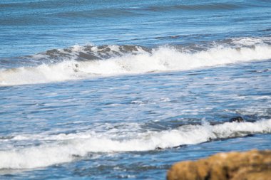 Seashore in Mar del Plata , Buenos Aires , Argentina