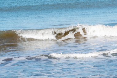 Seashore in Mar del Plata , Buenos Aires , Argentina