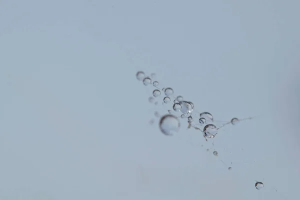 Предпосылки Контекст Cobweb Rain Drops Garden — стоковое фото